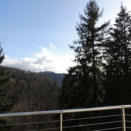 Gite Esperanza Spa Et Sauna Haselbourg Bagian luar foto