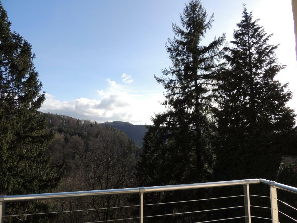 Gite Esperanza Spa Et Sauna Haselbourg Bagian luar foto